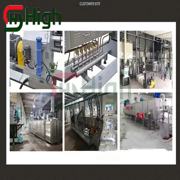 Pellet Puffing Extruder Machine Production Line Cat Dog Bird Pet Shrimp Aquarium Feed Puffing Fish Food Processing Equipment