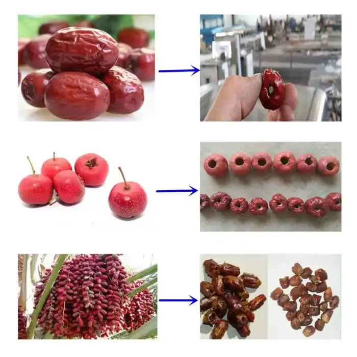 Industrial Peach Pitting Machine Cherry Pitter Seed Remover