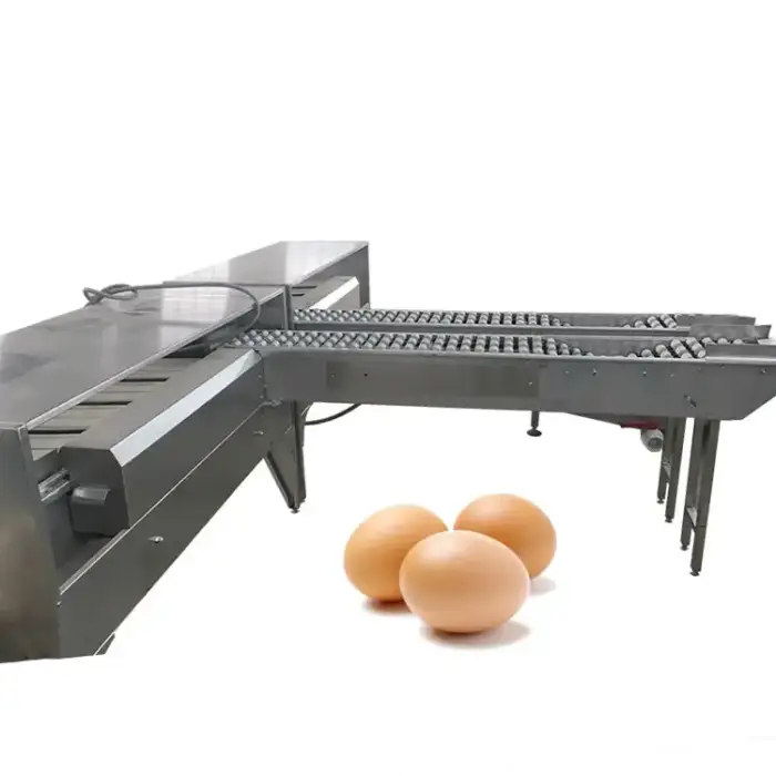 Egg Grading And Packing Machine / Egg Size Sorting Machine / Egg Grading Machine