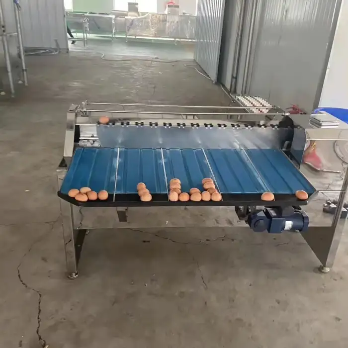 Egg Grading And Packing Machine / Egg Size Sorting Machine / Egg Grading Machine