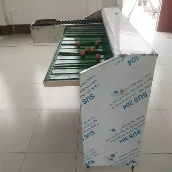 Egg Grading And Packing Machine / Egg Size Sorting Machine / Egg Grading Machine