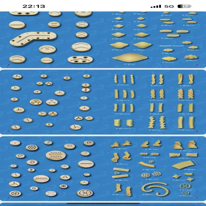 With Different Molds Spaghetti Macaroni Pasta Maker Hollow Tube Noodles Forming Machine Processing Macaroni Pasta Making Machine