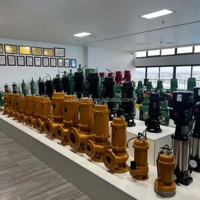 Electric Submersible Sewage Pump, Cast Iron Basement Dedicated Sewage Lifting Pump, Customized Sewage Unobstructed Sewage Pump