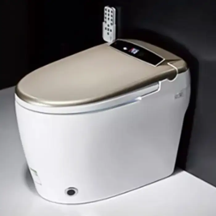 Home Industries Construction Real Estate Bathroom Equipment Ceramic Intelligent Toilet