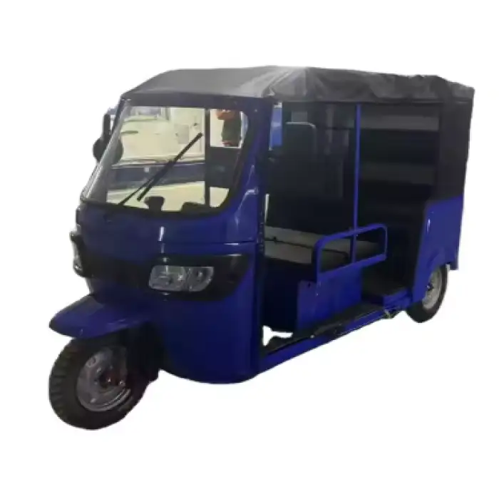 China Supplier Supply Motor Tricycle Truck Carrying Passenger and Cargo Small Elderly Mobility Scooter