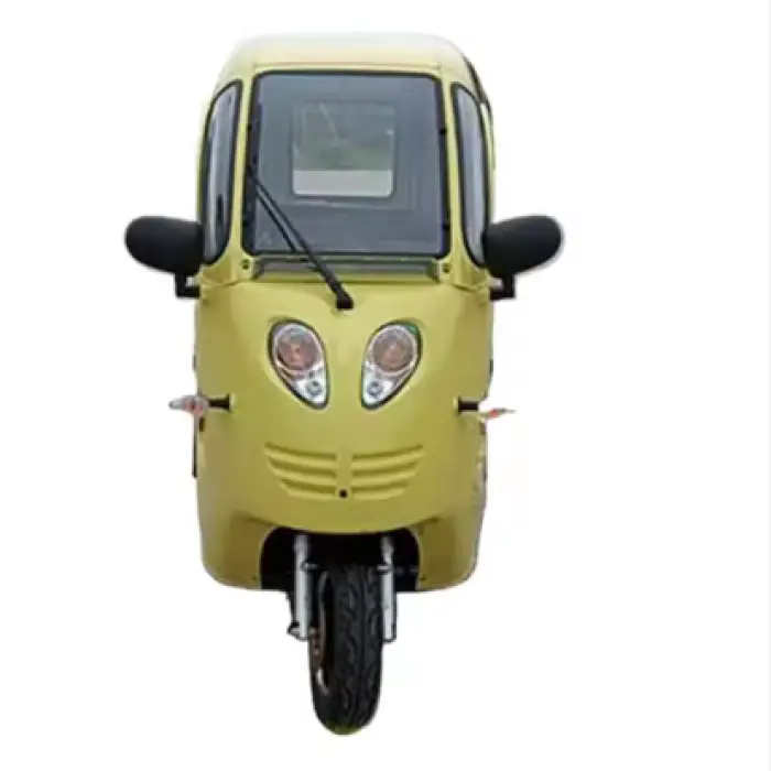 New ArrivalThree Wheels Cargo Tricycle Motorcycle Mobility Scooter Ebike 3 Wheels Bike with Cover