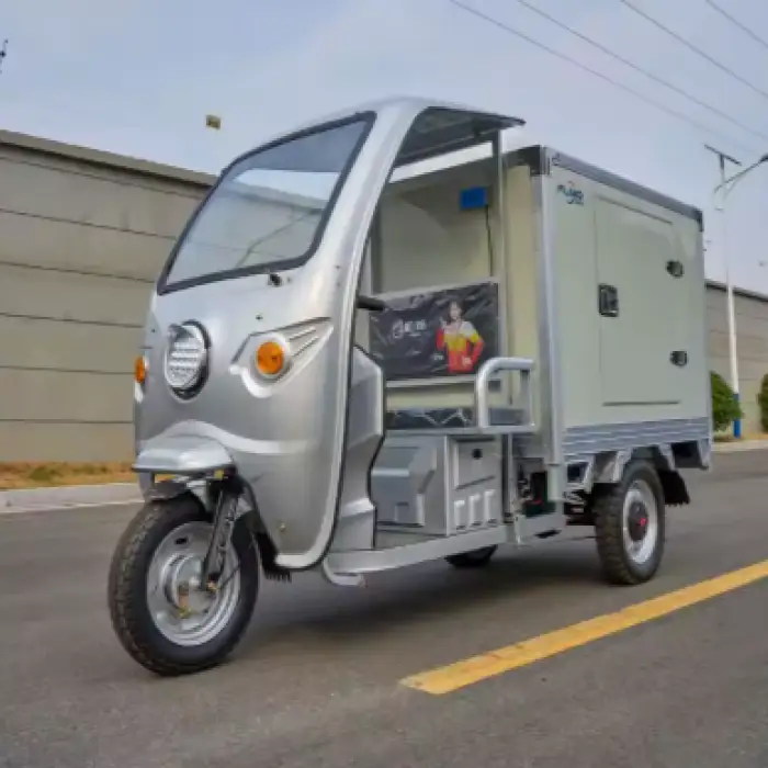 Fland Freezer Electric Scooter Electric Tricycles Electric Cargo Bike with Mini Cold Room with Three Wheels