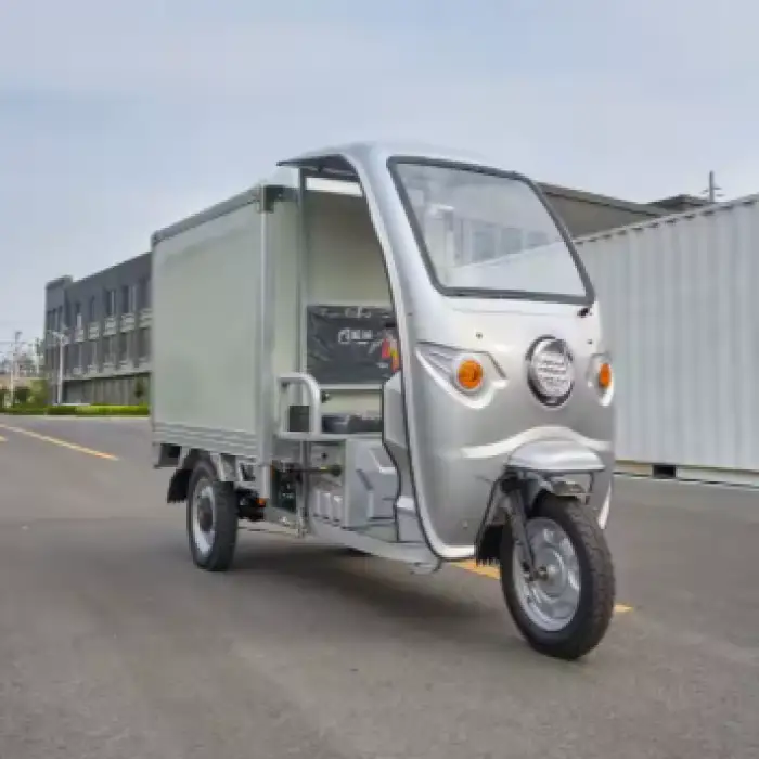 Fland Freezer Electric Scooter Electric Tricycles Electric Cargo Bike with Mini Cold Room with Three Wheels