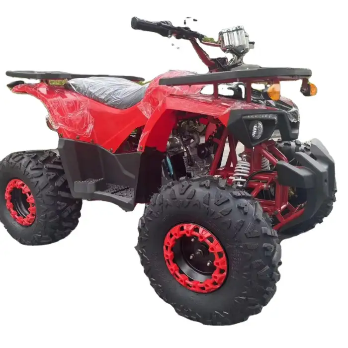 Warrior 200 Cc Atv 4 Wheeled Chain Drive Quad Atv 200cc Atv for 2 Passengers