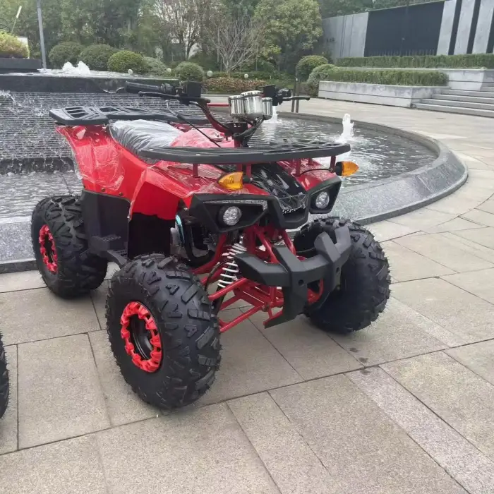 Warrior 200 Cc Atv 4 Wheeled Chain Drive Quad Atv 200cc Atv for 2 Passengers