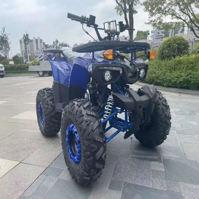 Warrior 200 Cc Atv 4 Wheeled Chain Drive Quad Atv 200cc Atv for 2 Passengers