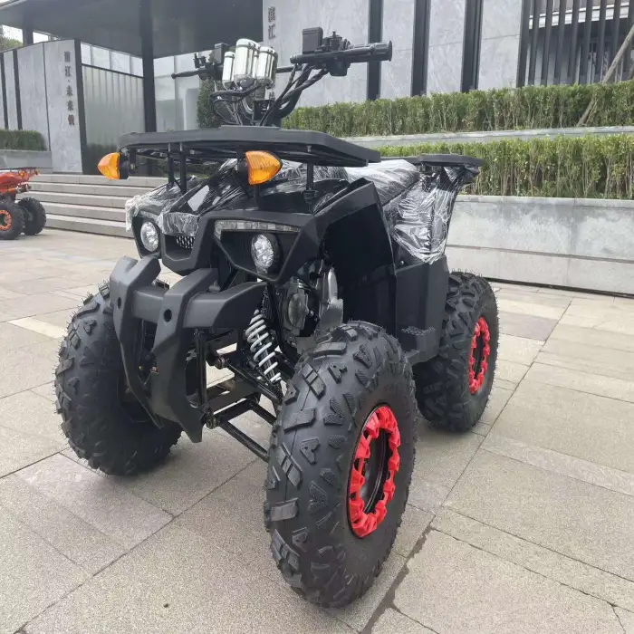 Warrior 200 Cc Atv 4 Wheeled Chain Drive Quad Atv 200cc Atv for 2 Passengers