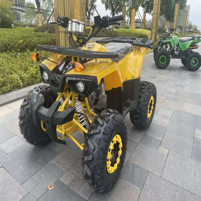 Warrior 200 Cc Atv 4 Wheeled Chain Drive Quad Atv 200cc Atv for 2 Passengers