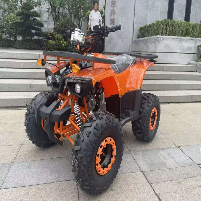 Warrior 200 Cc Atv 4 Wheeled Chain Drive Quad Atv 200cc Atv for 2 Passengers