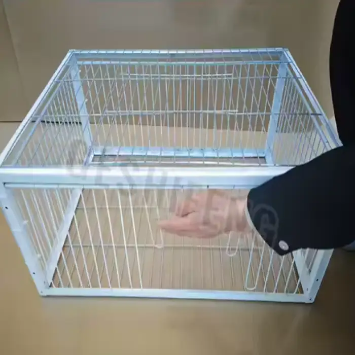 G-401-2 Foldable Galvanised Bird Trap Cage Feral Pigeon Humane Way with the One-way Entrance Trapping Pigeons Birds in Cages