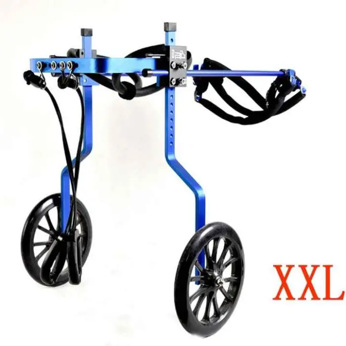 Veterinary Pet Walking Wheelchair Animal Rehabilitation Adjustable Dog Wheelchairs for Pet Clinic