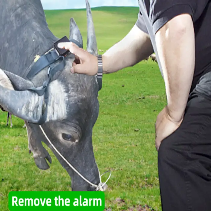 Cattle Smart Animal GPS Tracker with App Control Real Time Solar Cattle Gps Tracking Device for Cow Horse Locator( Air cargo)