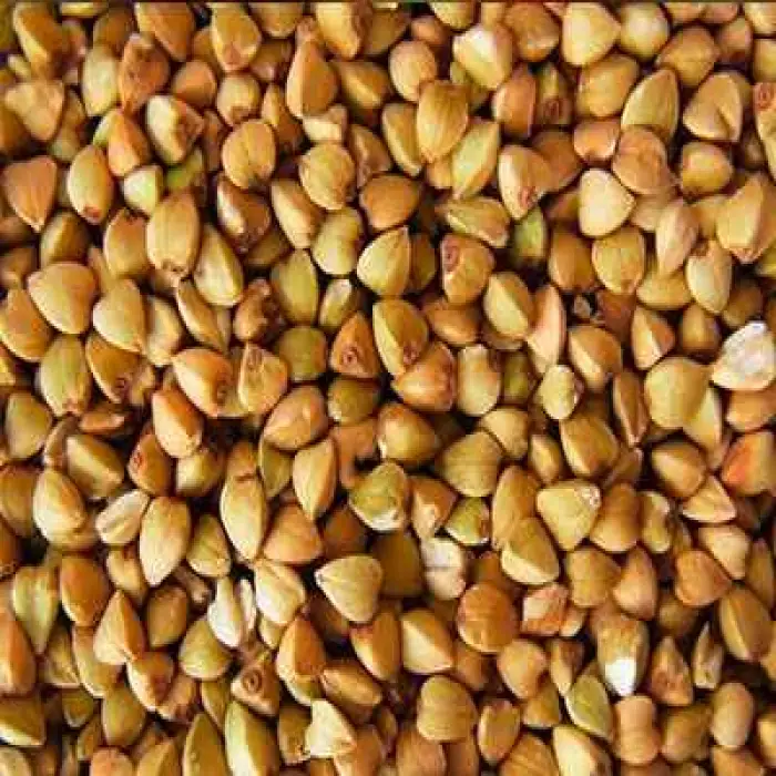 Grain Color Sorter Machine Buckwheat Color Sorting Machine Rice Grading Machine for Agriculture Processing