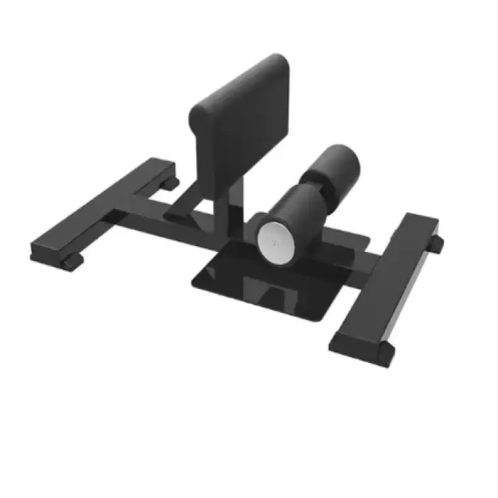 Fitness Exercise & Workout Equipment Incline Level Row Sissy Squats Benches Sissy Squat Machine Deep Squat Stand