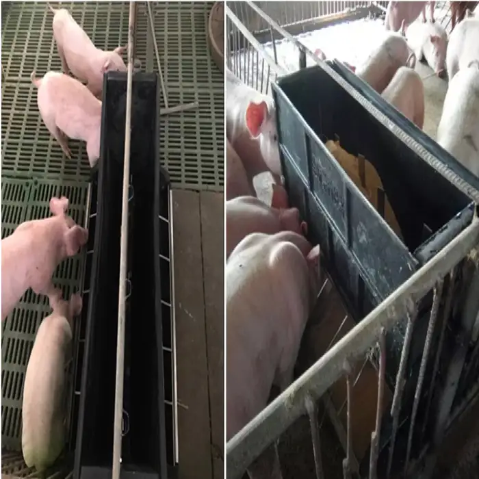 Made Plastic Double-Side Automatic Pig Feeding Trough Hog Feeders for Farming Equipment