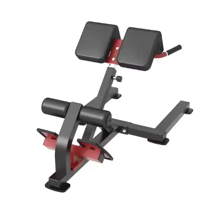 Commercial Steel Roman Chair Gym Fitness Equipment Back Extension Bench Bodybuilding Roman Chair