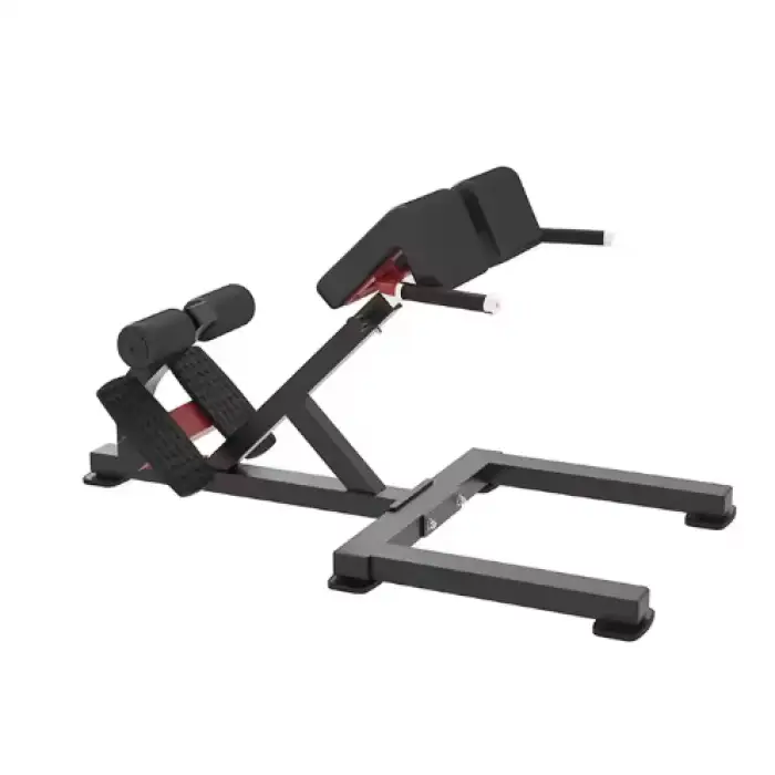 Commercial Steel Roman Chair Gym Fitness Equipment Back Extension Bench Bodybuilding Roman Chair