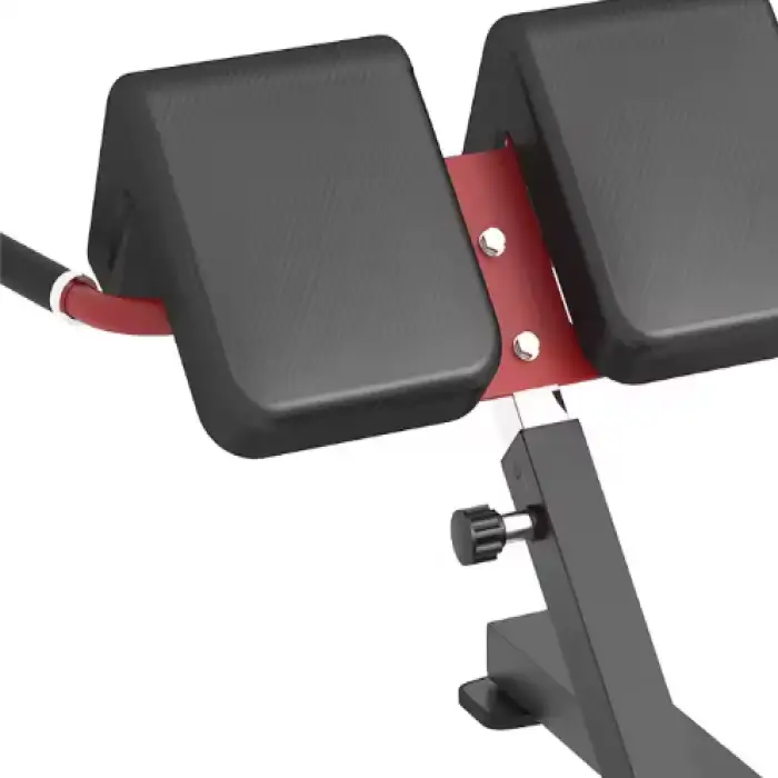 Commercial Steel Roman Chair Gym Fitness Equipment Back Extension Bench Bodybuilding Roman Chair