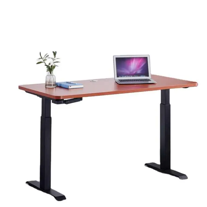 Luxury Adjustable Height High Tech Executive Electric Lift Standing Desk Frame Sit Stand up Computer Office Desk