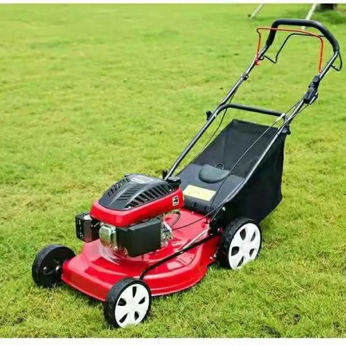 Mini Hand Pushed Gasoline Engine Petrol Grass Cutter Lawn Mower for Farm Household