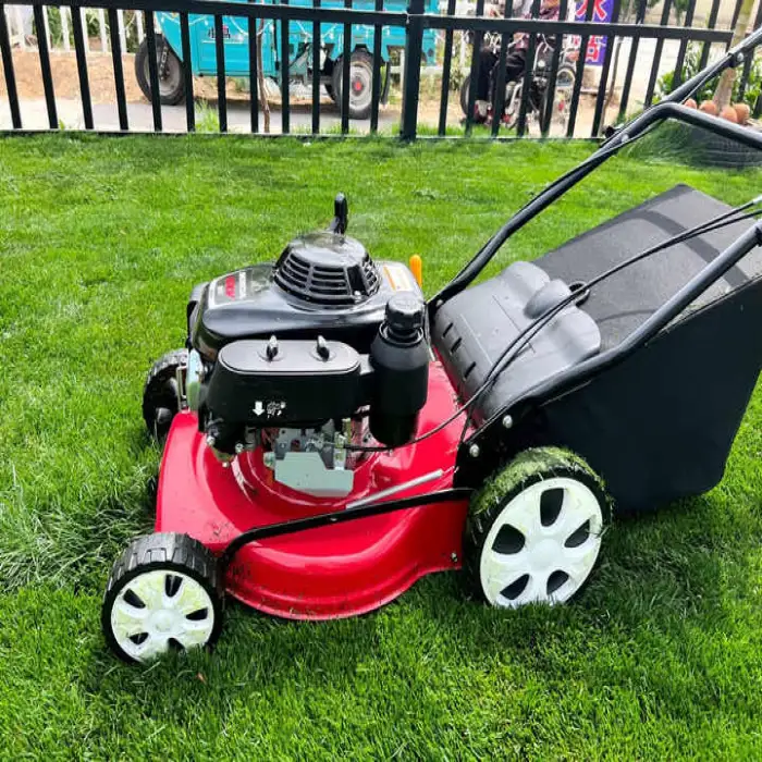 Mini Hand Pushed Gasoline Engine Petrol Grass Cutter Lawn Mower for Farm Household