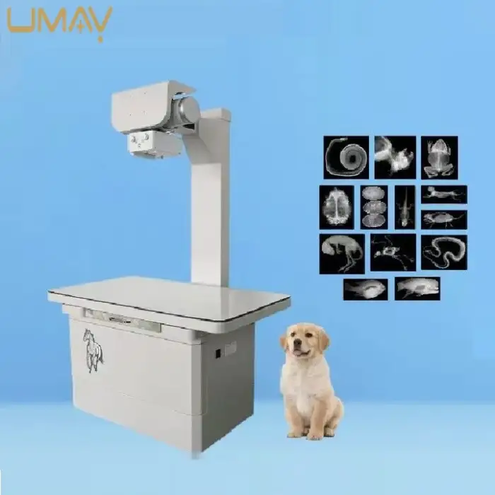 Professional Electric Pet X-Ray Machine Veterinary Hospitals Metal Equipment Medical X-Ray Equipments Accessories