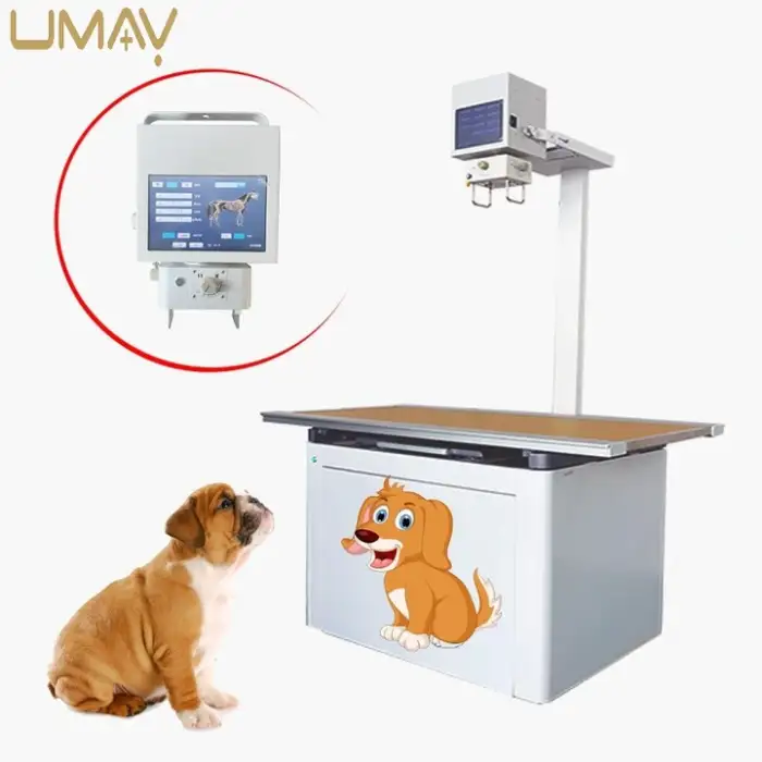 Professional Electric Pet X-Ray Machine Veterinary Hospitals Metal Equipment Medical X-Ray Equipments Accessories