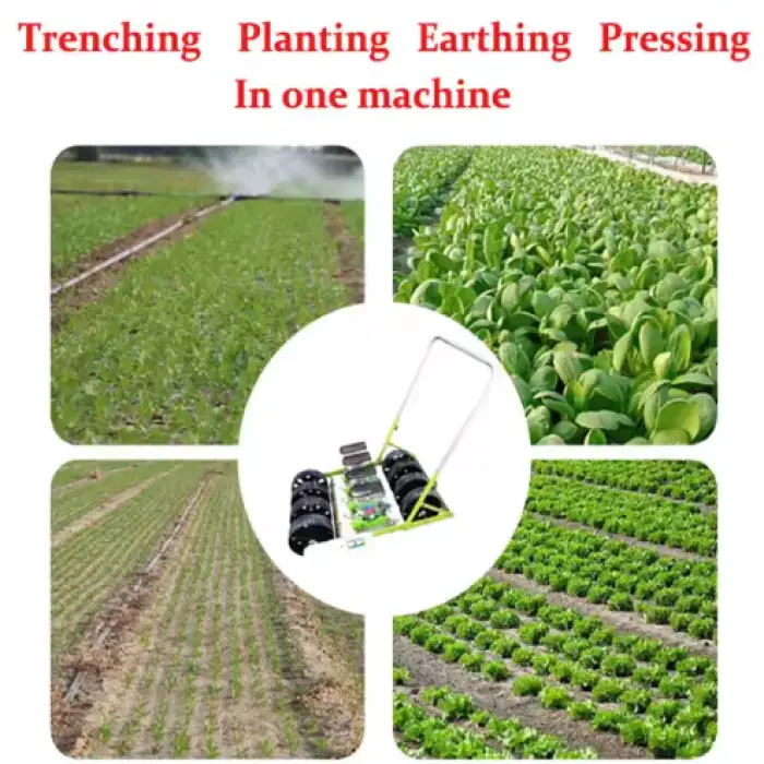 5 Rows Hand Vegetable Seeder