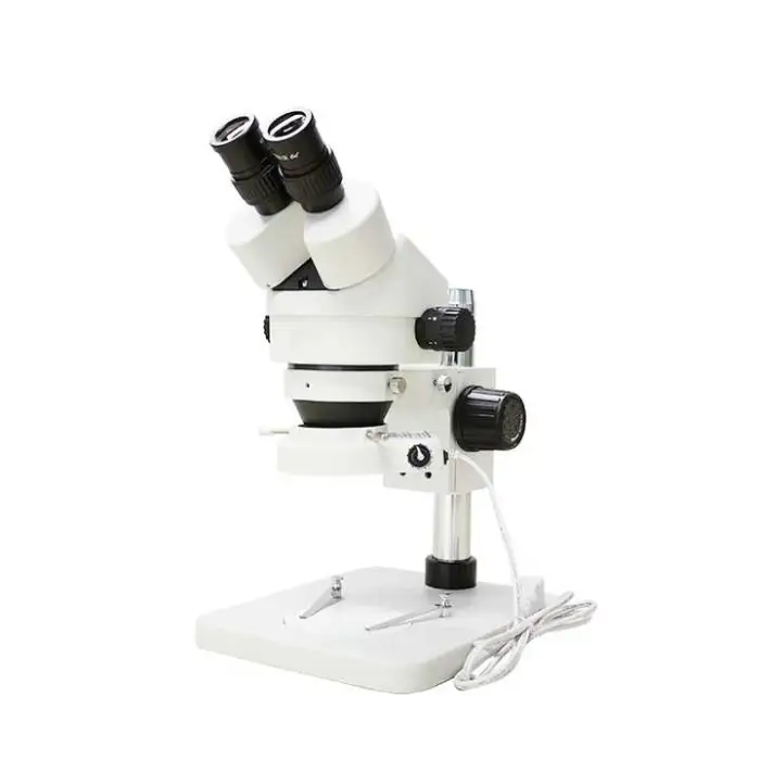 10X Binocular Stereo Microscope Digital Laboratory Microscope Binocular