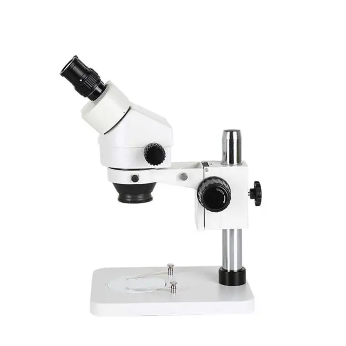 10X Binocular Stereo Microscope Digital Laboratory Microscope Binocular