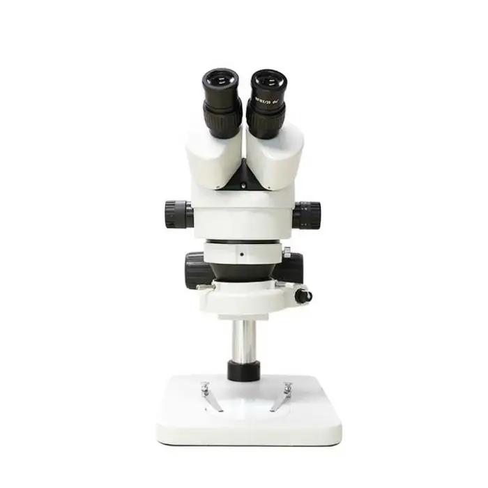 10X Binocular Stereo Microscope Digital Laboratory Microscope Binocular