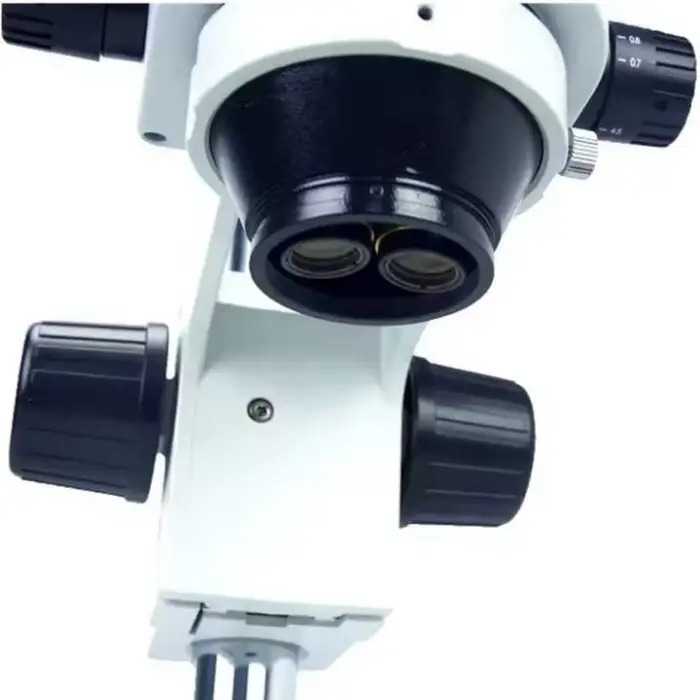 10X Binocular Stereo Microscope Digital Laboratory Microscope Binocular