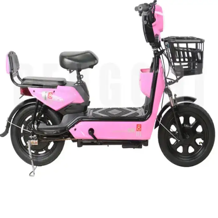 Leisure City E-Bike With Passenger Seat Anti Theft Locking