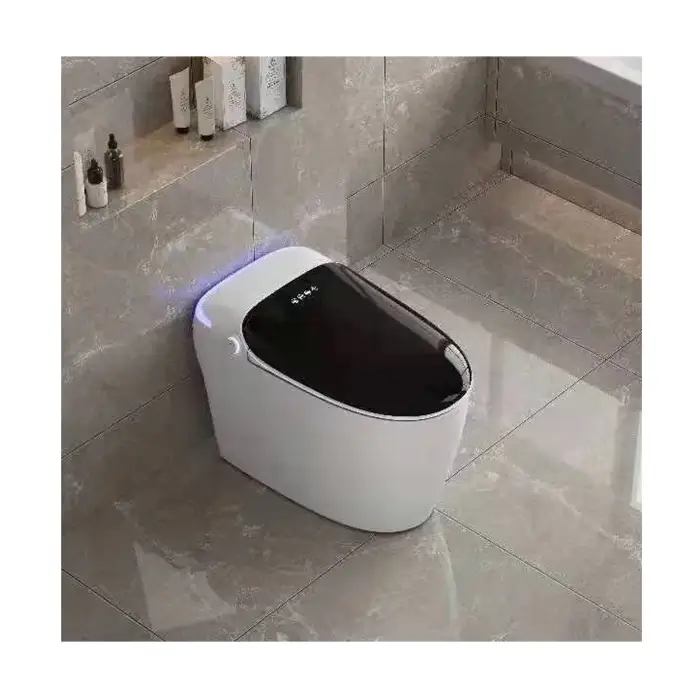 SUNDREAM Automatic Flush Sensor Toilets Intelligent Smart WC Bathroom Automatic Toilets Smart Toilet