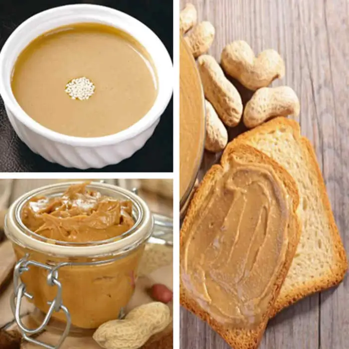 Home Use Dry and Wet Grain Grinder 160 Type Peanut Butter Machine Small Peanut Butter Making Machine