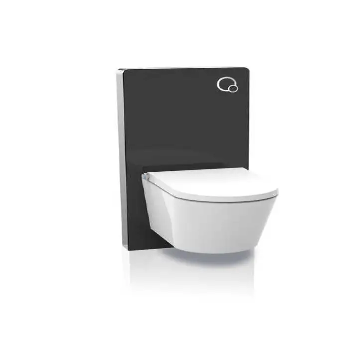 Modern Wall Mounted Glass Cistern Toilet Concealed Cistern WC Dual Flush Cistern