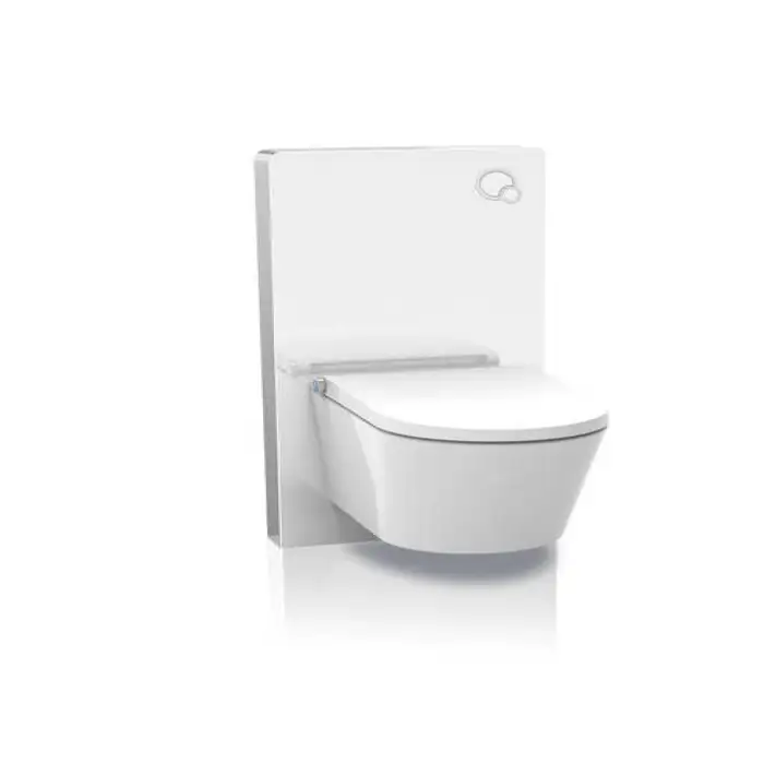 Modern Wall Mounted Glass Cistern Toilet Concealed Cistern WC Dual Flush Cistern