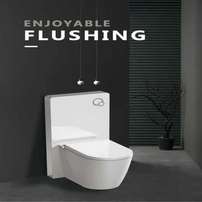 Modern Wall Mounted Glass Cistern Toilet Concealed Cistern WC Dual Flush Cistern