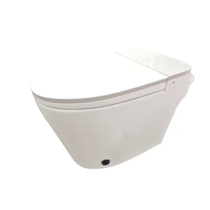 ZY039  Economic Simple Functions Practical Customization Colorful Cost Saving Measures Smart Toilet