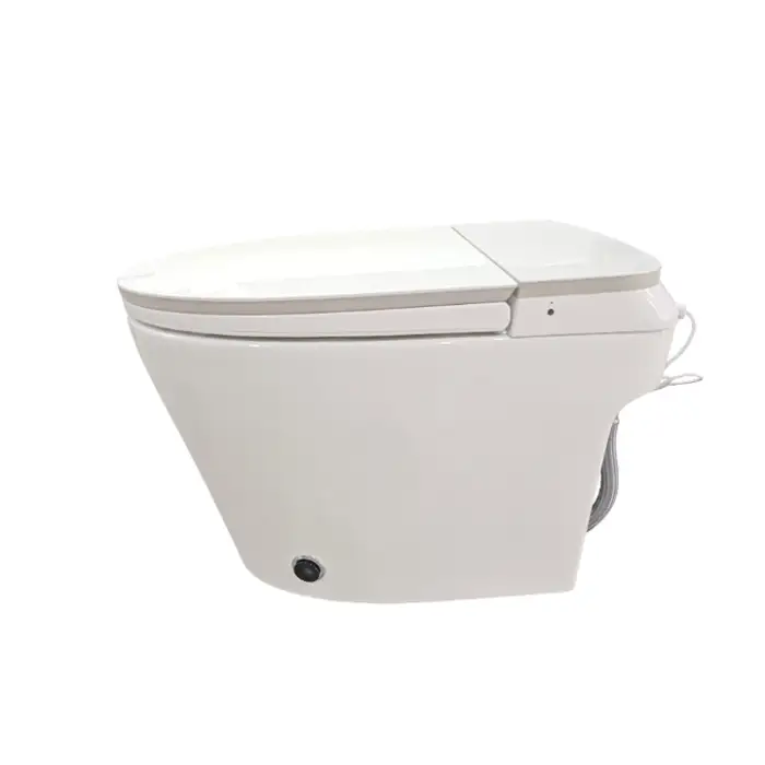 ZY039  Economic Simple Functions Practical Customization Colorful Cost Saving Measures Smart Toilet