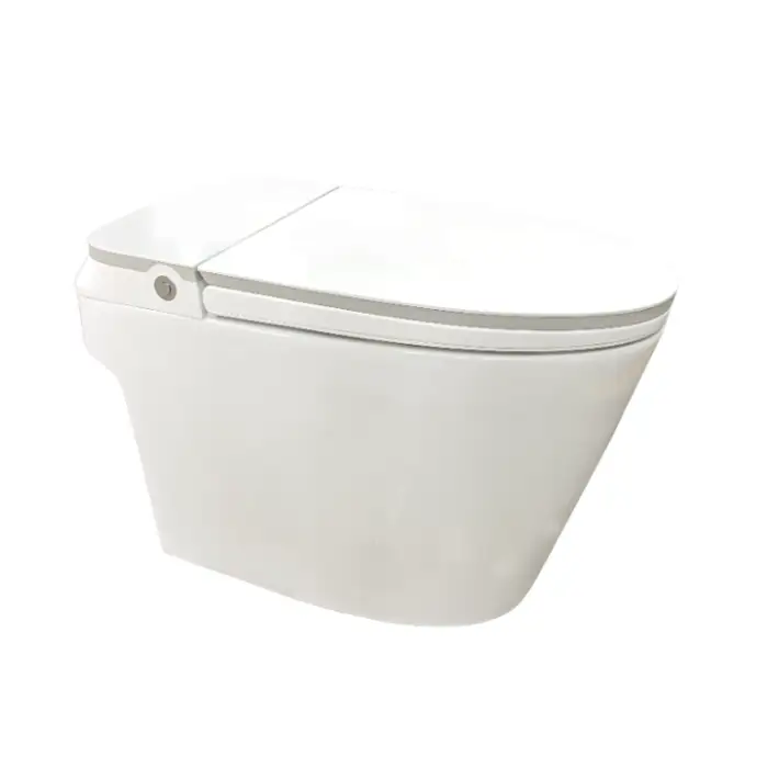 ZY039  Economic Simple Functions Practical Customization Colorful Cost Saving Measures Smart Toilet