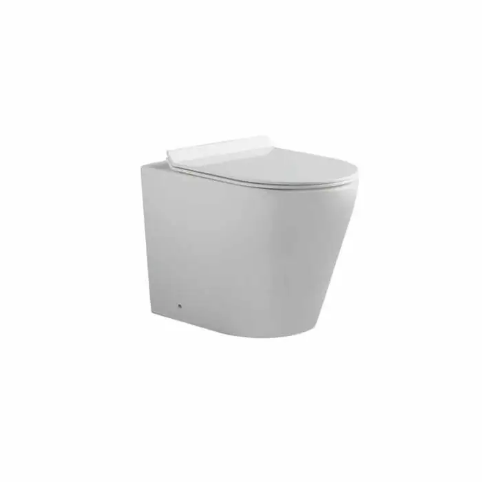 Bathroom Accessories Watermark CE WRAS Wall Hung Toilet Concealed Cistern