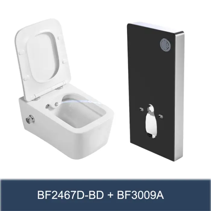 Universal Dual Flush CE Glass Concealed Toilet Cistern Water tank for Wall Hung Toilet