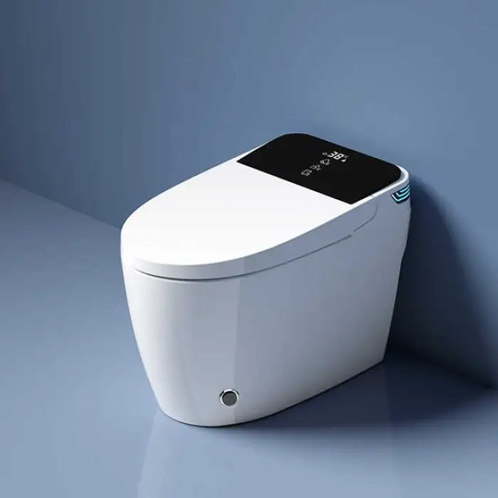 Intelligent Toilet Toilette WC Bathroom Auto Smart Toilet Water Closet Without Water tank