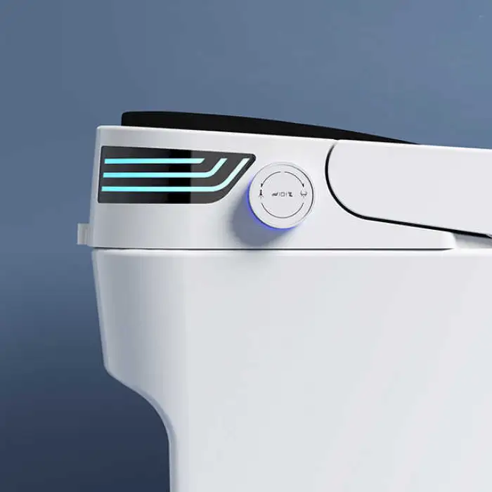 Intelligent Toilet Toilette WC Bathroom Auto Smart Toilet Water Closet Without Water tank